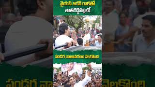 వైయస్‌ జగన్‌ రాకతో తాతిరెడ్డిపల్లిలో #cmchandrababu #pawankalyan #ysjagan #apnews #ytshorts