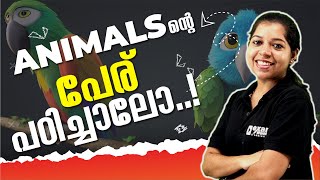 Animals ൻ്റെ പേര് പഠിക്കാം 🥳