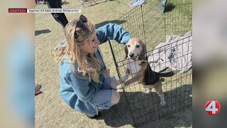 Beagles rescued from Ridglan Farms heading to WNY