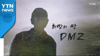 [YTN 특집] 희망의 땅, DMZ 2부  / YTN