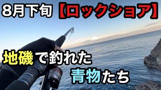 【ロックショア】地磯でひたすら青物を狙いました。8月下旬 能登半島