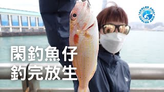 閑釣魚仔,釣完放生! | 中環碼頭 | 4K影片