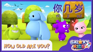 Easy Chinese Conversation: How Old Are You? 你几岁？| Chinese for Kids | Learn to Speak Chinese