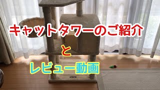 [レビュー動画]キャットタワーのご紹介と小夏が使う様子♪