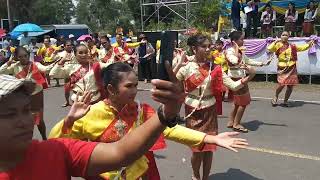 แห่บุญบั้งไฟ โนนนารายณ์ สุรินทร์