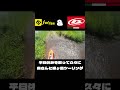 奥さんと猿ヶ島へ　 shorts