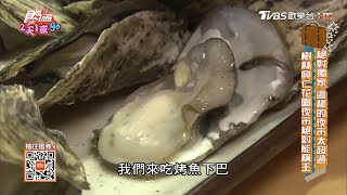 超肥美生蠔！每天澎湖急速冷藏直送【食尚玩家2天1夜go】節目精華20200805