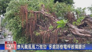 1131101觀天下新聞 康芮颱風風力強勁 瑞芳多處路樹電桿攔腰折