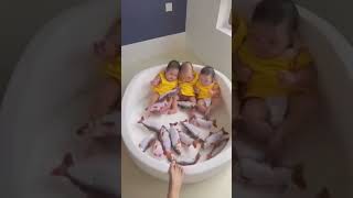 twins babies funny video #short