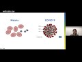 Chan L J (2021): Antibody therapeutics against infectious diseases