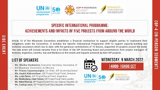 Pre-COP4.2 Side Event: Specific International Programme - achievements and impacts of five projects