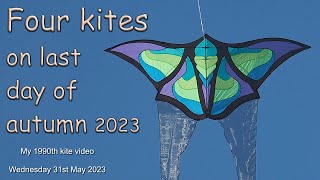 Four attractive kites on last day of autumn 2023