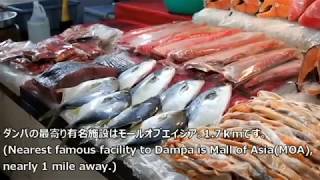 キュートなフィリピンメイドがナビするマニラ海鮮市場（with English subtitles)