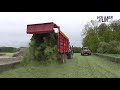 grass silage with fendt black beauty