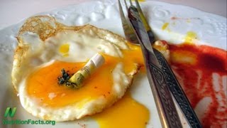 Eggs vs. Cigarettes in Atherosclerosis