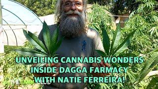 Exploring a Cannabis Nursery | Dagga Farmacy | Natie Ferreira
