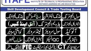 distance education skill and technical professional short courses online diploma program