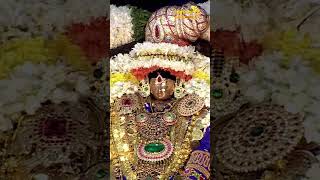 திருப்பதி திருச்சானூர் ஸ்ரீ பத்மாவதி தாயார் 'அஸ்வ  வாகனம்' | பிரம்மோற்சவம்  #shorts