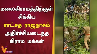 மலைகிராமத்திற்குள் சிக்கிய ராட்சத ராஜநாகம் : அதிர்ச்சியடைந்த கிராம மக்கள்