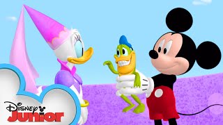 Donald Turns into a Frog 🐸| Mickey Mornings | Mickey Mouse Clubhouse | @disneyjunior