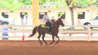 160814 Gabriel Boracchi on Mr Frank Gunner G1