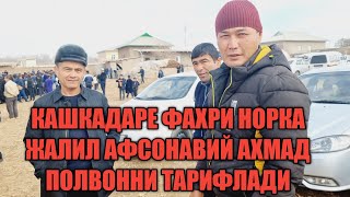 КАШКАДАРЕ ФАХРИ НОРКА ЖАЛИЛ АФСОНАВИЙ АХМАД ПОЛВОННИ ТАРИФЛАДИ .