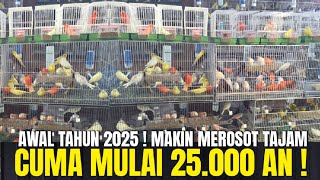 MAKIN MEROSOT TAJAM HARGA BURUNG KENARI AWAL TAHUN 2025 DI KIOS KECIL INI ! CUMA MULAI 25RB AN