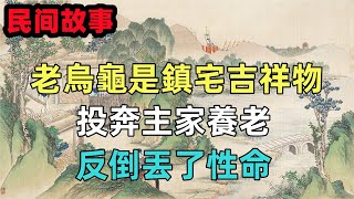 民間故事：老烏龜是鎮宅吉祥物，投奔主家養老，反倒丟了性命