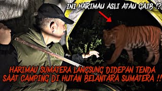 CAMPING HORROR : DIDATANGI HARIMAU SUMATERA DIDEPAN TENDA SAAT CAMPING DI HUTAN BELANTARA SUMATERA !