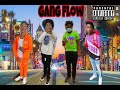 Gang Broz - Gang Flow