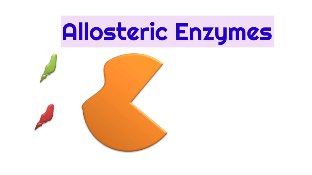 What Are Allosteric Enzymes?Definition & Important Features Of ...