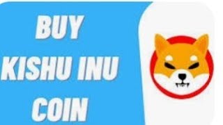 introduction of kishu inu ! should i buy