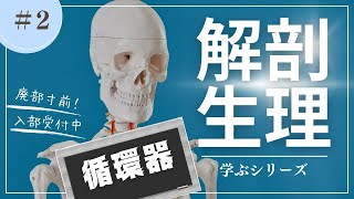 【解剖生理学】看護国試②循環器系