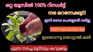 ഇതൊന്നു തൊട്ടാൽ മതി മുടിക്ക് നല്ല കളർ കിട്ടും ഒറ്റ യൂസിൽ 100% റിസൽട്ട്|natural hair pack|colour pack