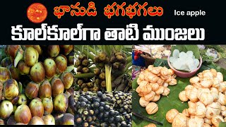 తాటిముంజలు /Taati Munjalu Benefits/ Palm Fruit Health Benefits / Ice Apple Uses