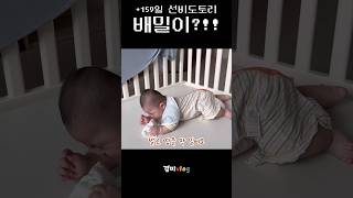 +159일 아기)혼자 배밀이 하려고 엄청 고생했네😭 대단하다 증맬루 #아기 #babyshorts #baby #babyboy #6개월아기 #배밀이 #육아 #shorts