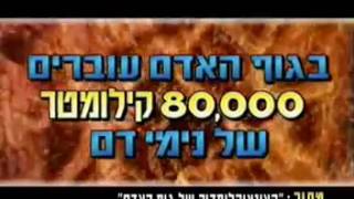 נתונים מדהימים ! - נפלאות הבריאה