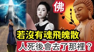 #佛禪 死後世界！蔡天鳳沒有「魂飛魄散」臨床心理學「分析人死後」必經7大過程！佛教又如何看「人往生後會到那裡？」瀕死體驗中「看到好多人在排隊」領取一樣非常重要的東西 ？ (shorts)