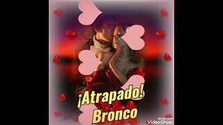 Atrapado / Bronco