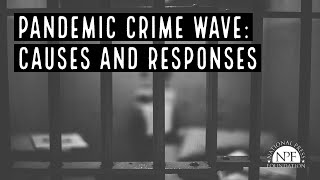 Pandemic Crime Wave: Causes and Responses