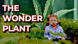 Stigmatized Wonder Plant | Free Doc Bites