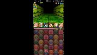 パズドラ　[ゼウスディオス降臨]光カーリーPT