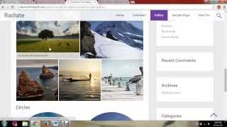 Radiate WordPress Theme Tutorial 2