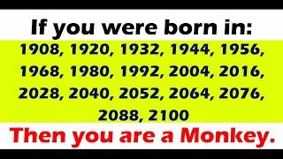 What Does Your Chinese Zodiac Sign Say About Your Personality? | Chinese Zodiac Animal The Monkey