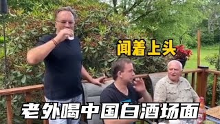 盘点老外喝中国白酒场面：50多度一口闷，惨叫：比伏特加猛太多