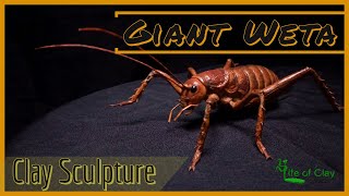 Sculpting Giant Weta (Deinacrida heteracantha)_Polymer Clay_LifeofClay