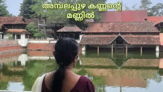 അമ്പലപ്പുഴ കണ്ണന്റെ മണ്ണിൽ #temple#youtube#ambalappuzhatemple