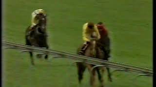 1987 Citrus Spring Amatuer Riders Graduation Stakes