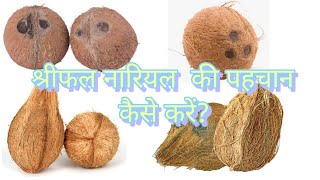 श्रीफल नारियल  की पहचान कैसे करें ? / श्रीफल और नारियल में क्या अंतर है?