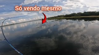 Essa pescaria vai fazer o brasil inteiro vir pescar aqui é muito peixe neste lugar